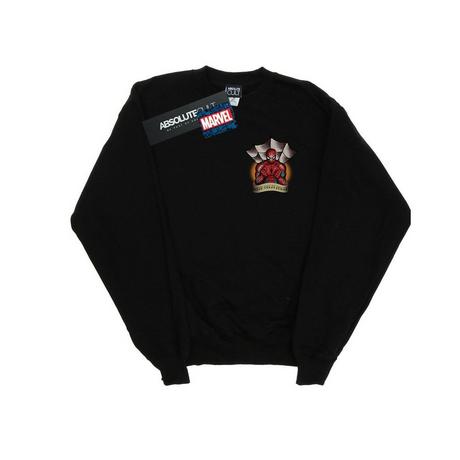 MARVEL  Sweatshirt 