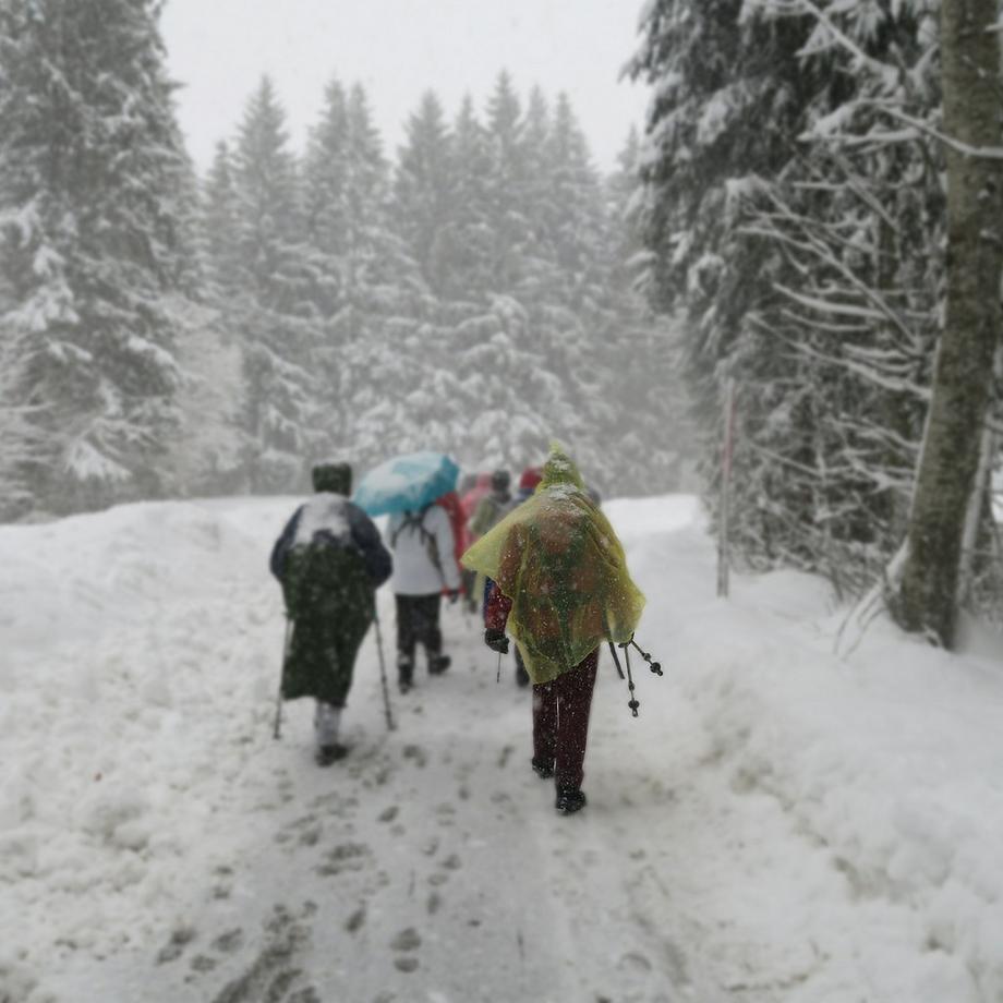 B2X  Einweg-Poncho 10er Set 