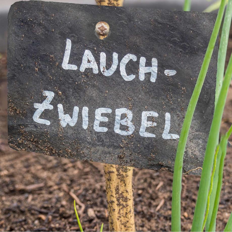 Northix  10 rustikale Pflanzenschilder aus Schiefer 