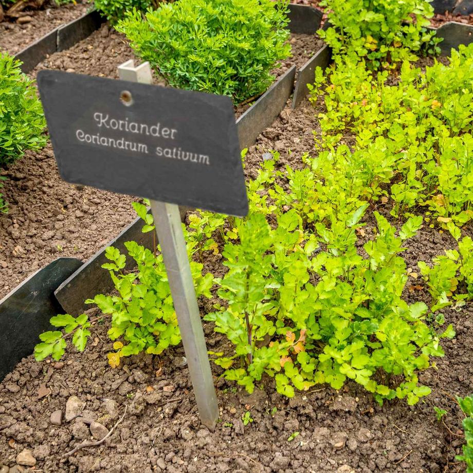 Northix  10 rustikale Pflanzenschilder aus Schiefer 