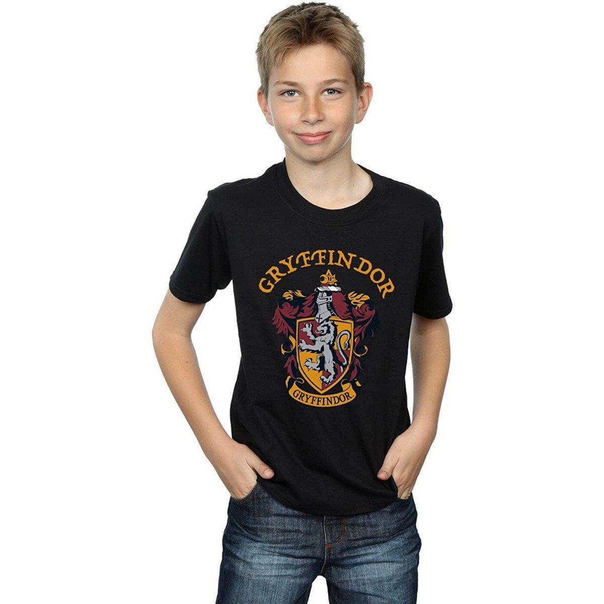 Harry Potter  Tshirt 