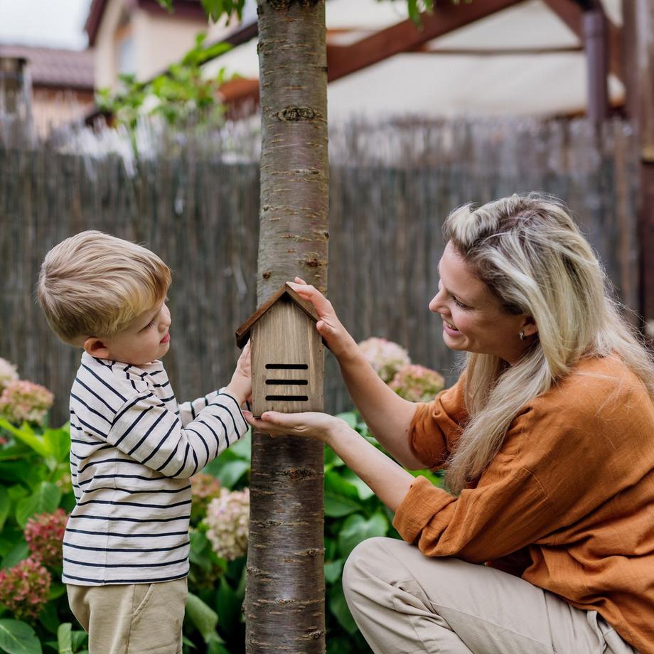 B2X Maison de coccinelle en bois d'épicéa brun  