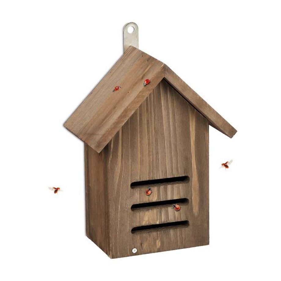 Maison de coccinelle en bois d'épicéa brun