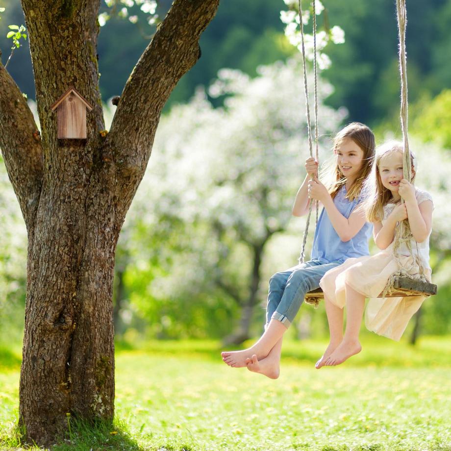 B2X  Marienkäferhaus aus Holz 