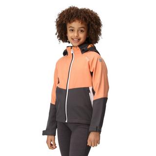 Regatta  Veste softshell HAYDENBURY Enfant 