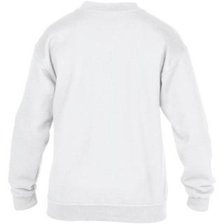 Gildan  Heavy Blend Pullover 