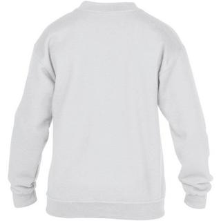 Gildan  Heavy Blend Pullover 