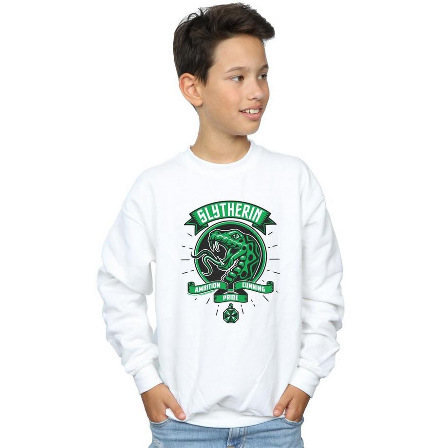 Harry Potter  Slytherin Sweatshirt 