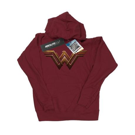 DC COMICS  Justice League Kapuzenpullover 