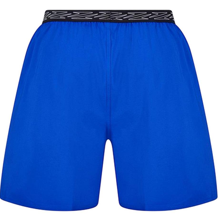speedo Hyper Boom Badeshorts  