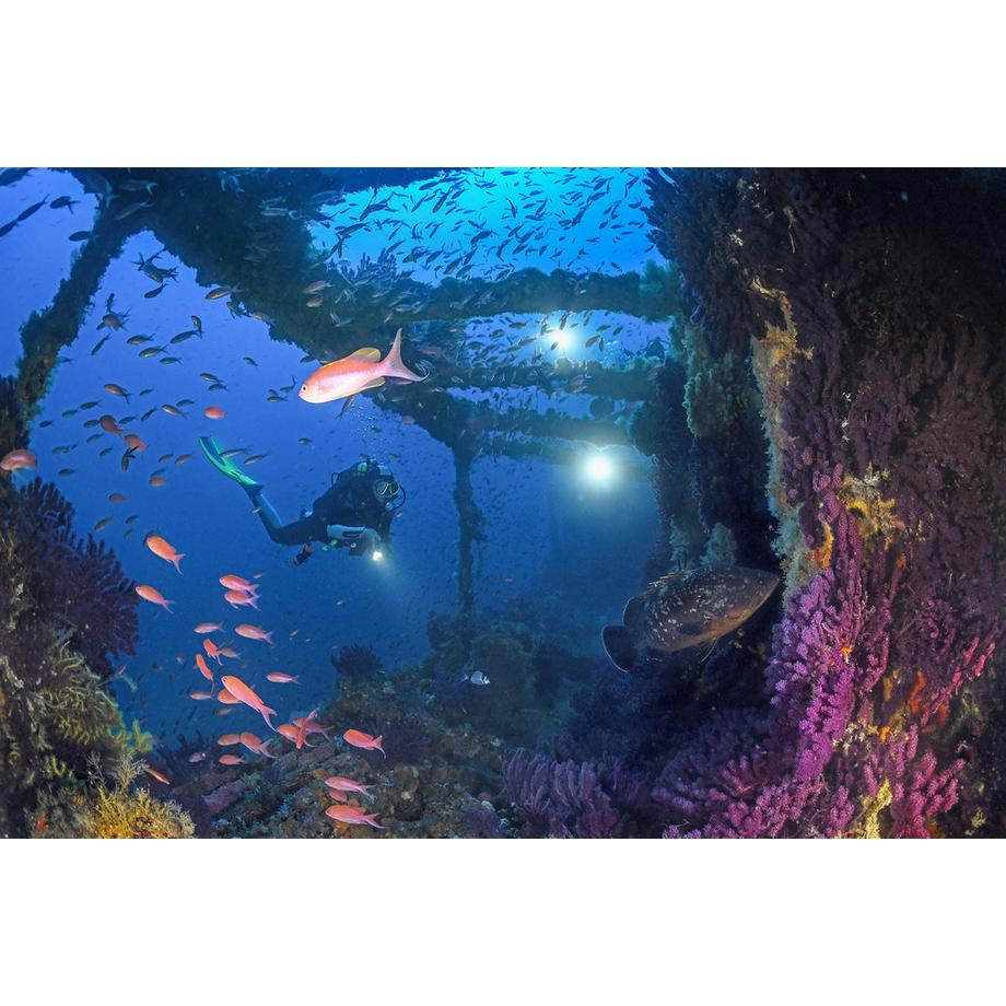 SUBEA  Neoprenanzug - SCD 500 7 