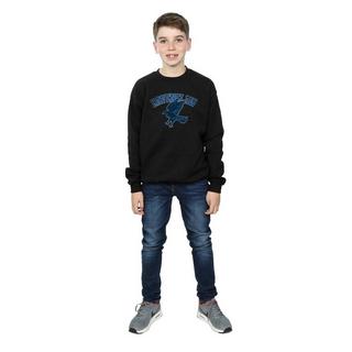 Harry Potter  Ravenclaw Sweatshirt 