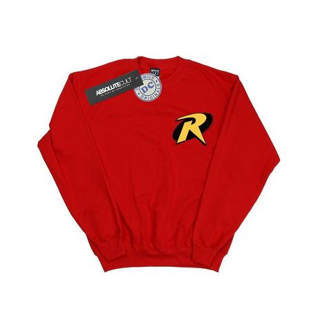 DC COMICS  Sweatshirt 