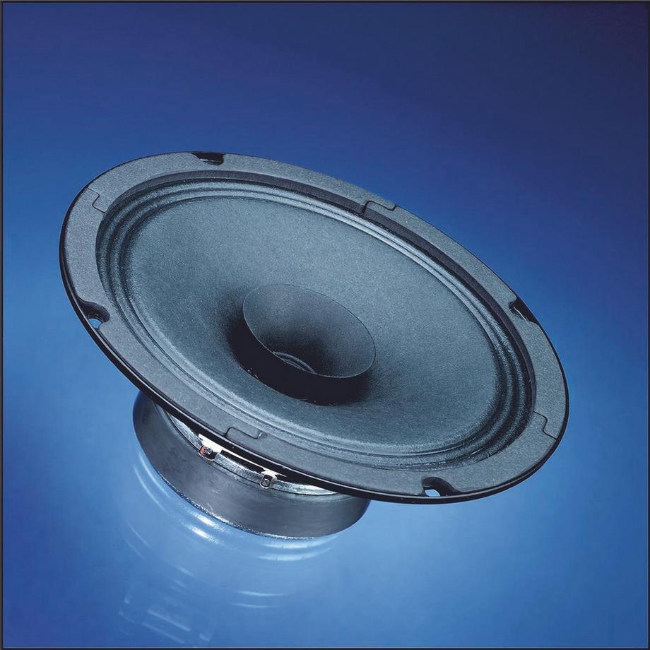 Nedis  BG 17 - 8 ohm -16 cm (6,5 ") Altoparlanti completi 