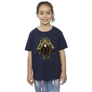 DC COMICS  Black Adam Rising Golden Symbols TShirt 