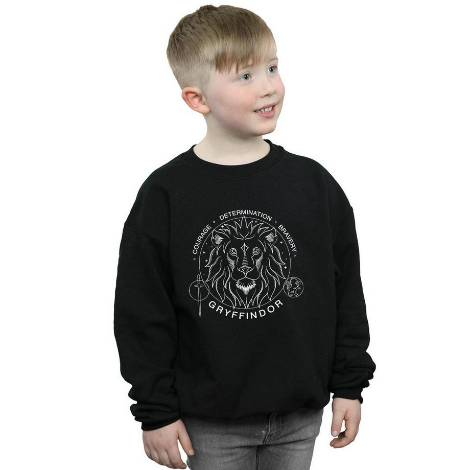 Harry Potter  Sweat GRYFFINDOR 
