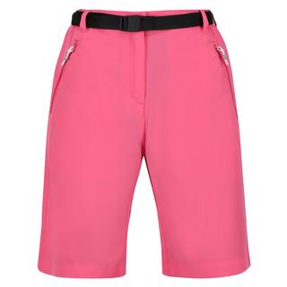 Regatta  Short XERT 