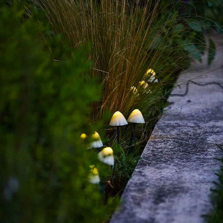 Lumi jardin  10 mini-champignons lumineux solaires à piquer balisage allée CHAMPY LED blanc chaud 3.8m 