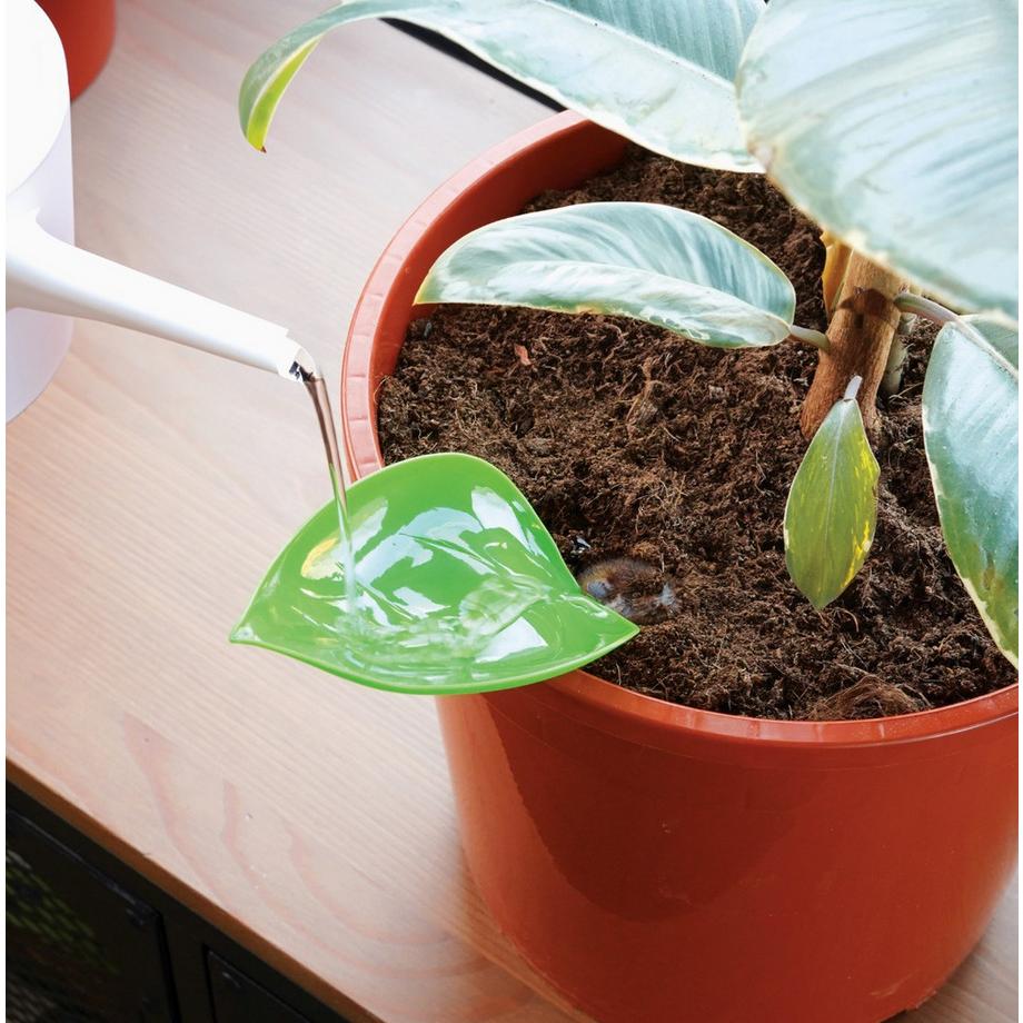 Bubblegum Pflanzen Giesshilfe Laubtrichter 6er Pack  