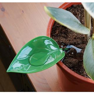 Bubblegum Plantes Aide à l'arrosage Entonnoir à feuilles, pack de 6  