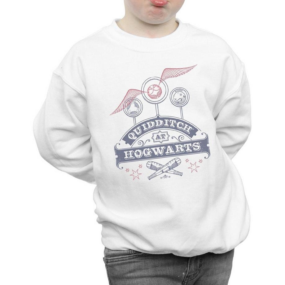 Harry Potter  Quidditch At Hogwarts Sweatshirt 