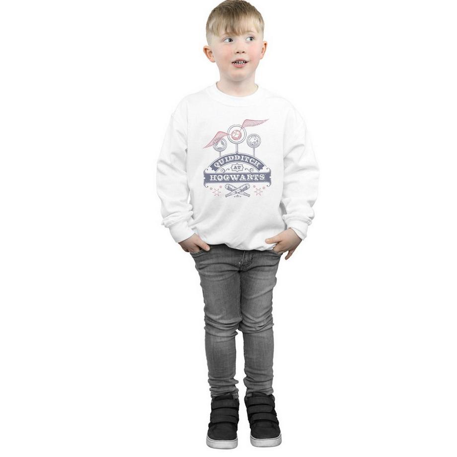 Harry Potter  Quidditch At Hogwarts Sweatshirt 