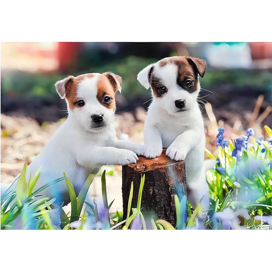 Ravensburger  Puzzle Kleine Fellknäuel (2x12) 