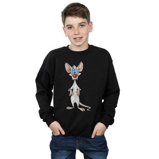 Animaniacs  Sweatshirt 