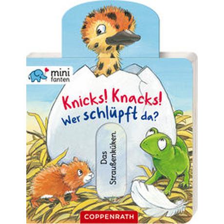 minifanten 35: Knicks! Knacks! Wer schlüpft da? Flad, Antje (Illustrationen) Gebundene Ausgabe 