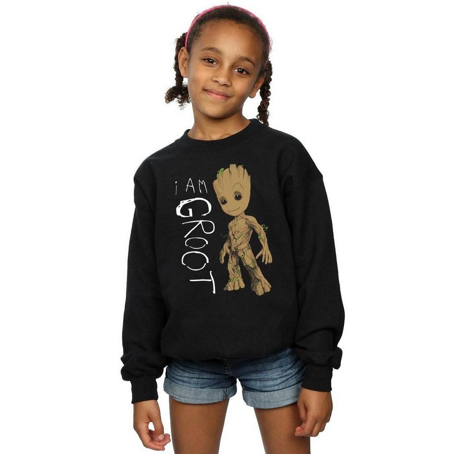 MARVEL  Guardians Of The Galaxy I Am Groot Sweatshirt 