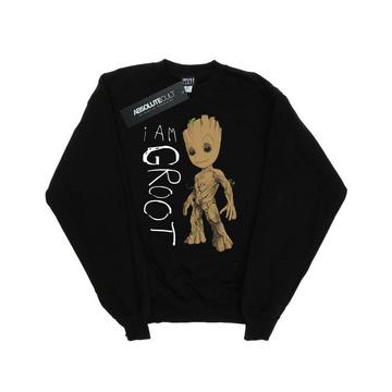 Guardians Of The Galaxy I Am Groot Sweatshirt