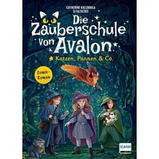 Die Zauberschule von Avalon - Katzen, Pannen & Co Kalengula, Catherine; Faltazius (Illustrationen); Hackländer, Anja (Übersetzung) Gebundene Ausgabe 