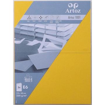 ARTOZ Karten 1001 E6, 5 Blatt