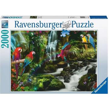 Casse-tête Ravensburger de 2 000 pièces Perroquets dans la jungle