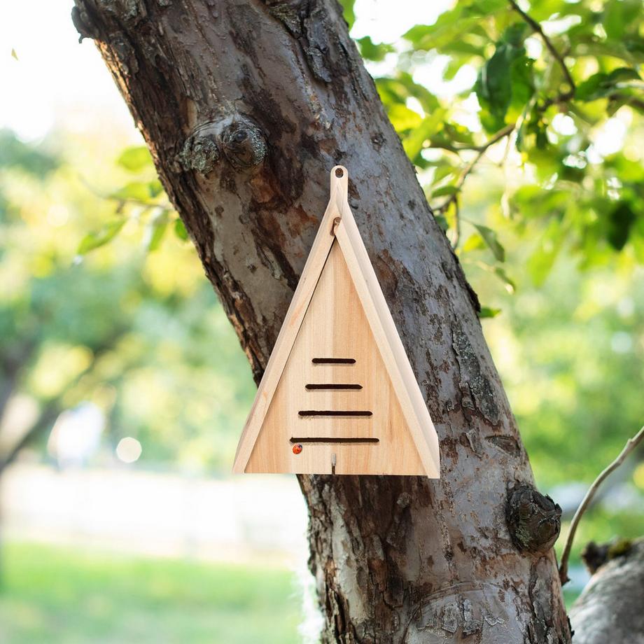 B2X Casetta triangolare per coccinelle  