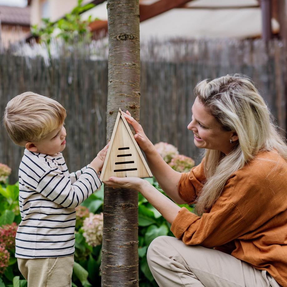 B2X Casetta triangolare per coccinelle  