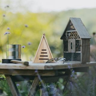 B2X Casetta triangolare per coccinelle  