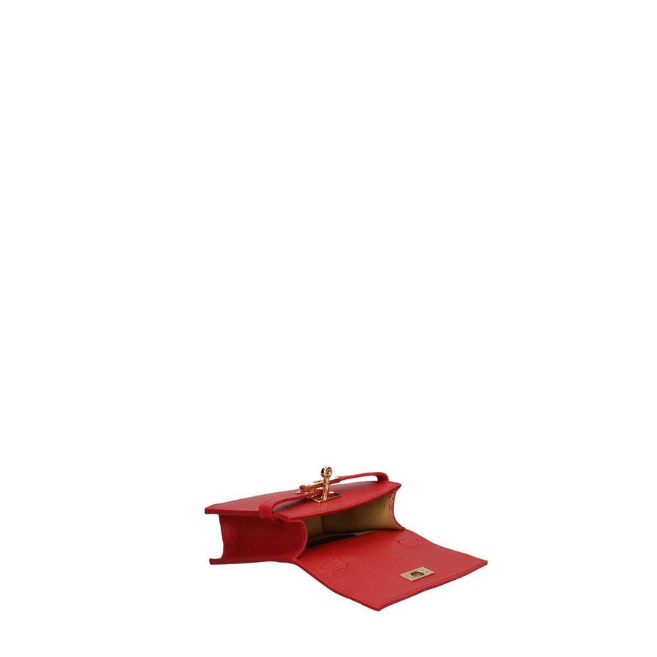 Chiara Ferretti Celeste Nova Mini Handtasche  