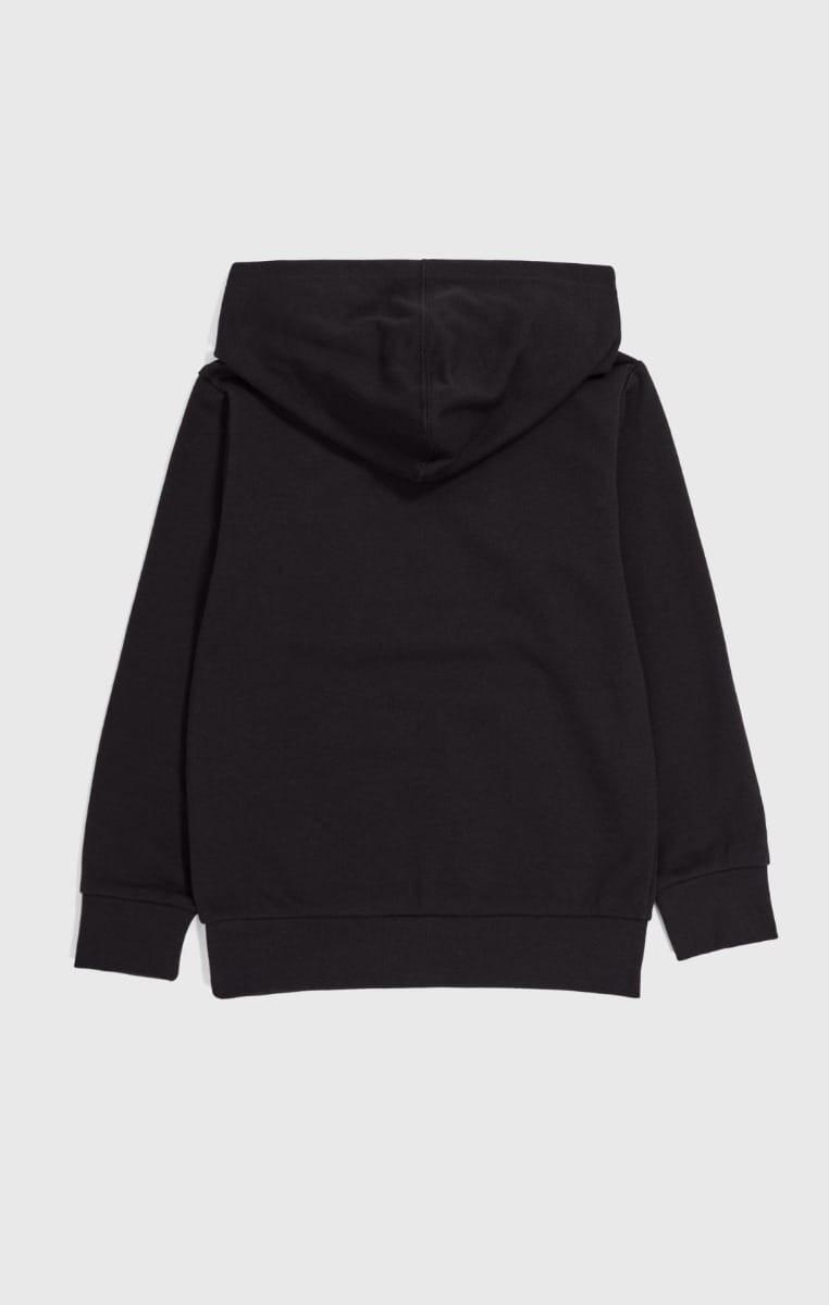 Champion  hooded sweatshirt 