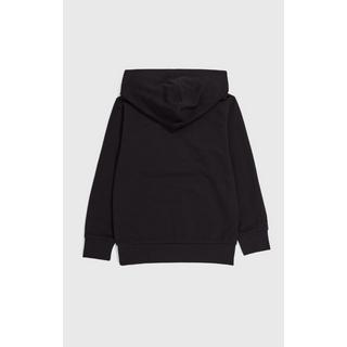 Champion  hooded sweatshirt 