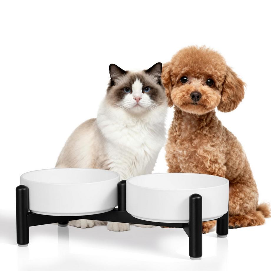 Ensemble de Bols de Nourriture pour Chien - Double Bol de Nourriture en Céramique avec Support en Acier Inoxydable pour la Nourriture et l'eau