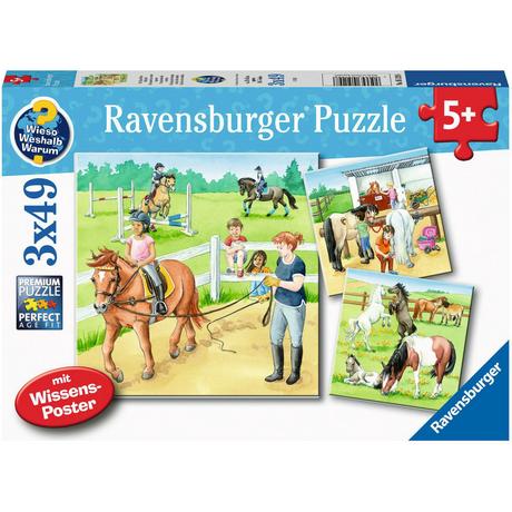 Ravensburger  Puzzle Ein Tag auf dem Reiterhof (3x49) 