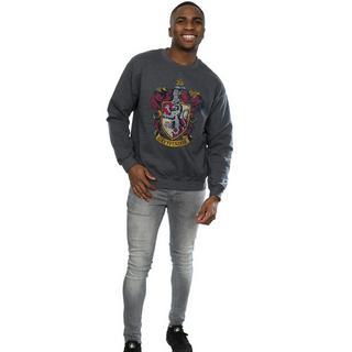 Harry Potter  Sweatshirt 