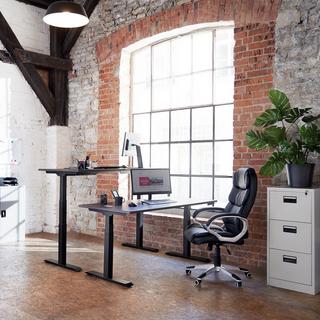 Tectake Bureau Assis Debout Pied de Bureau Réglable en Hauteur Électrique 110-190x68x58-123cm  