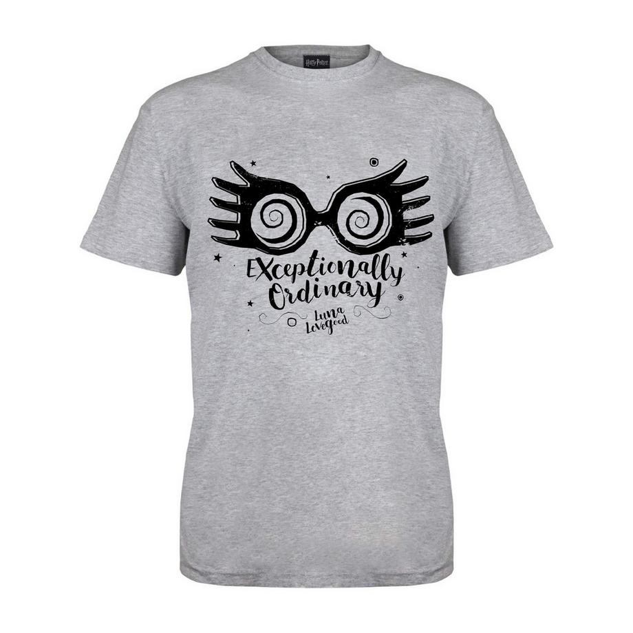 Exceptionally Ordinary TShirt