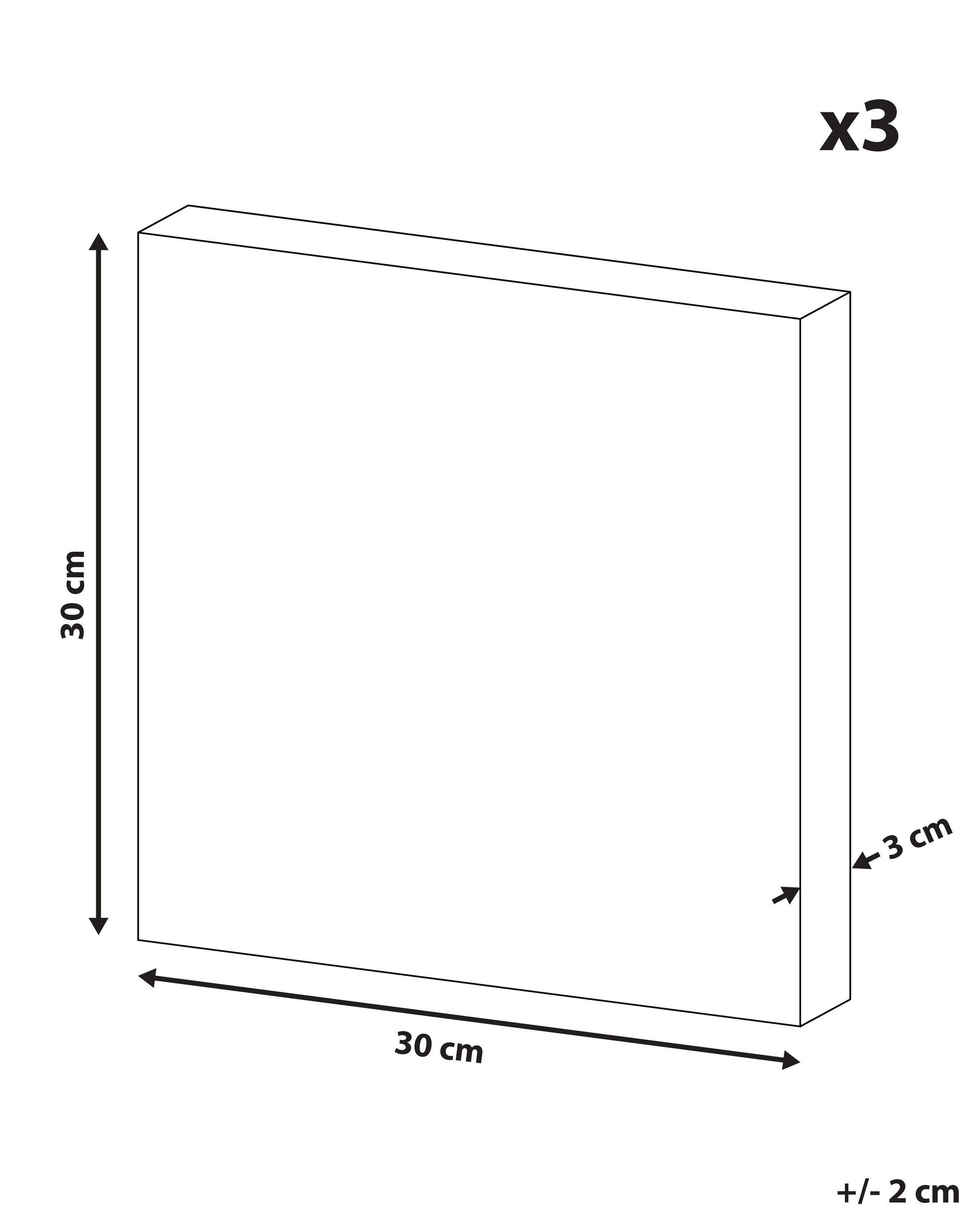 Beliani Lot de 3 toiles en Nylon Moderne BINGUI  