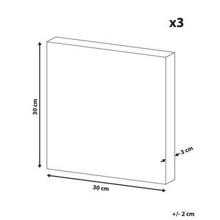 Beliani Lot de 3 toiles en Nylon Moderne BINGUI  