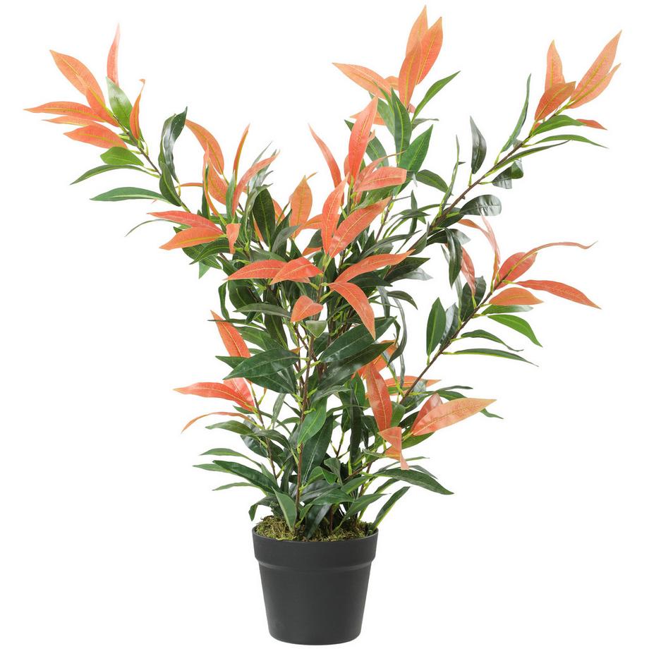 plante artificielle