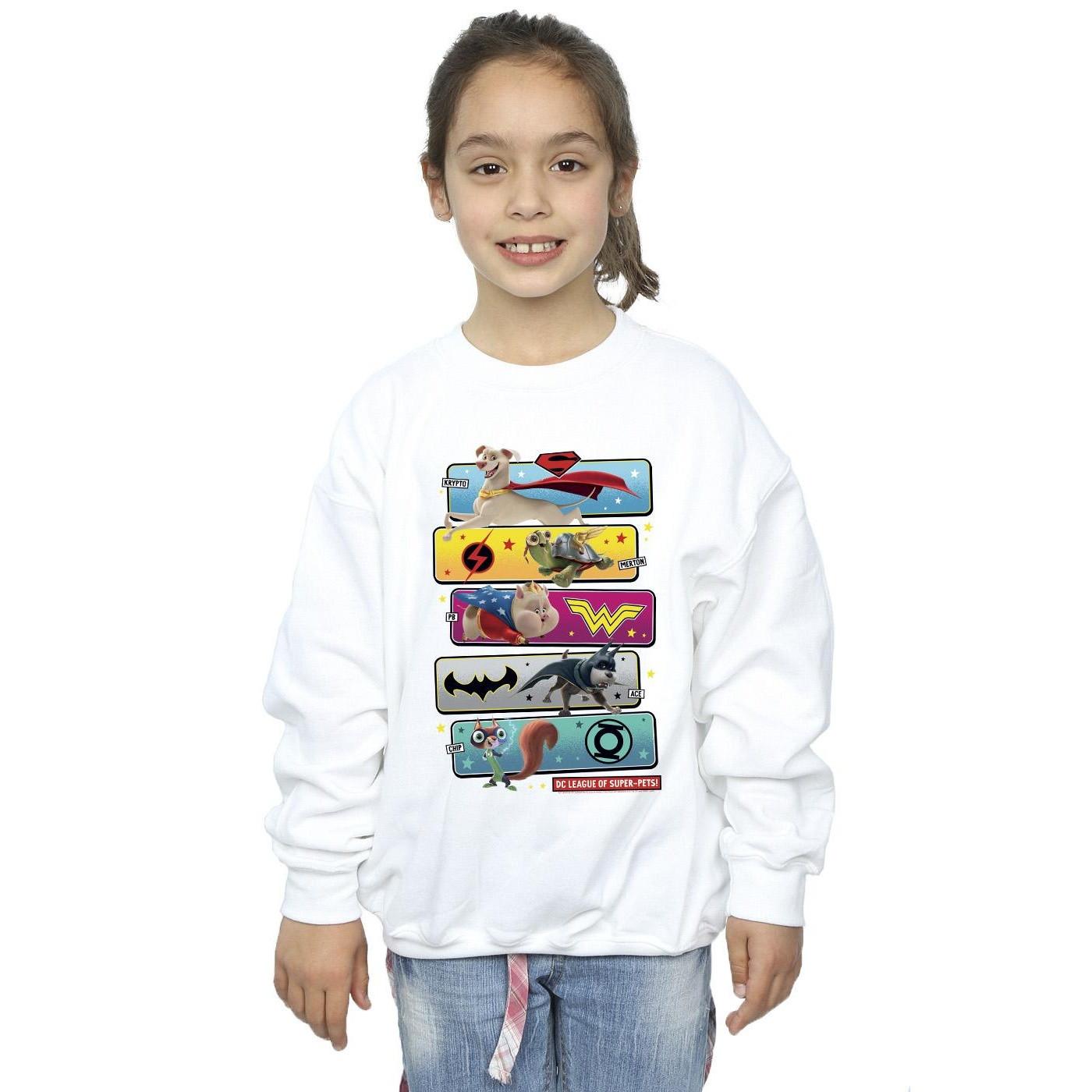 DC COMICS  DC League Of SuperPets Sweatshirt 