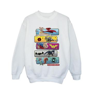 DC League Of SuperPets Sweatshirt